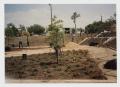 Photograph: [Photograph of Campus Center Beautification Project]