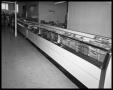 Photograph: Grocery Store #1