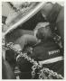 Photograph: [Firefighters Extricating Person From Car]