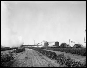 Primary view of object titled 'Cotton Field & Cotton Gin'.