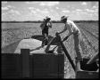 Photograph: Men Working in Field