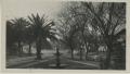Photograph: [Photograph of the Moody Home Street]