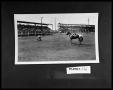 Primary view of Rodeo, Calf Roping, Cowboy