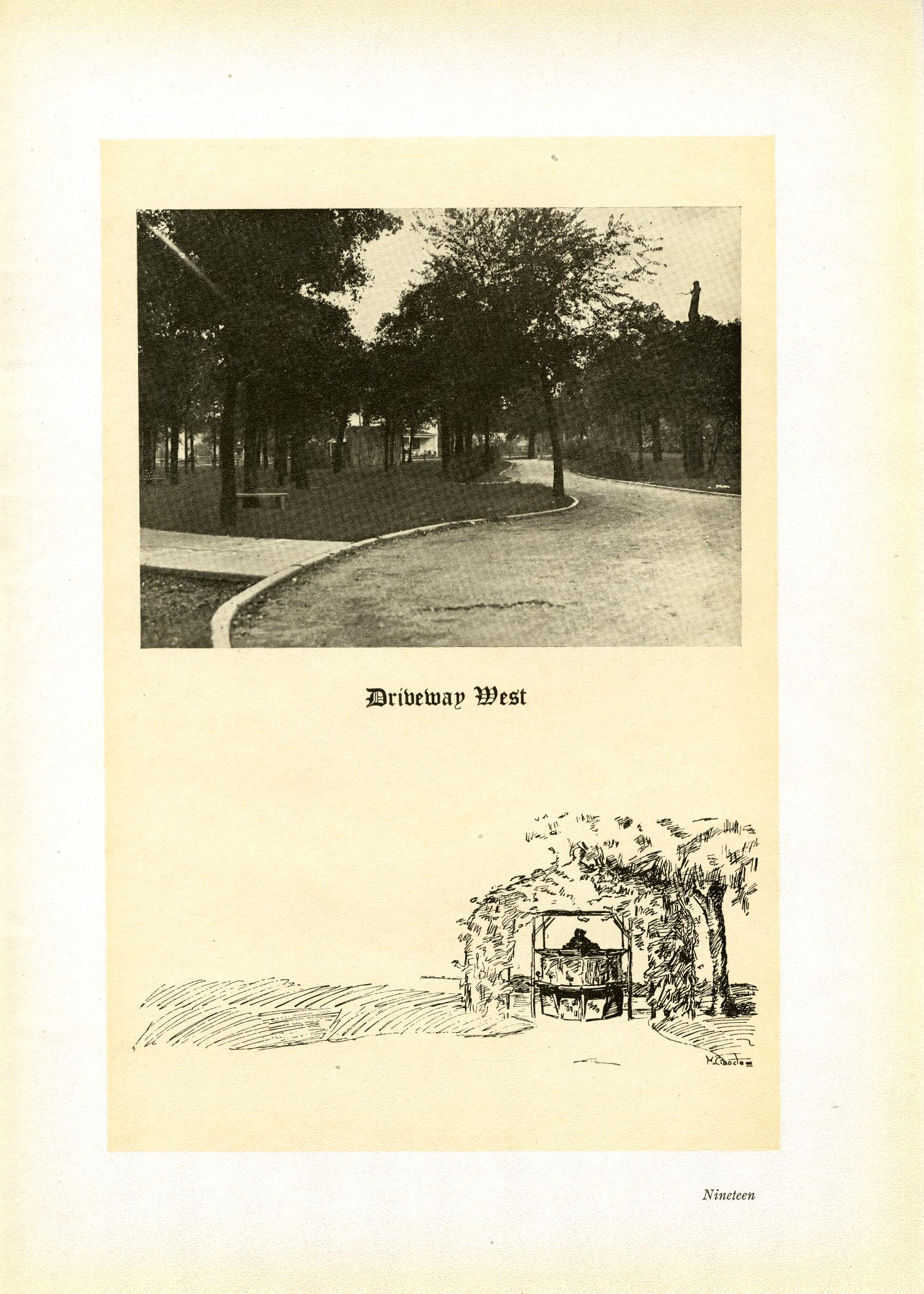 The Yucca, Yearbook of North Texas State Normal School, 1920
                                                
                                                    19
                                                