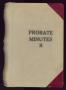 Book: Travis County Probate Records: Probate Minutes R
