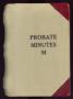 Book: Travis County Probate Records: Probate Minutes M