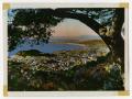 Photograph: [Photograph of the French Riviera]