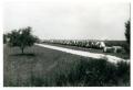 Photograph: [Cotton Bales Lined in a Row]