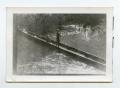 Photograph: [Photograph of Children in Canal]