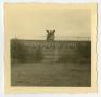Photograph: [Photograph of Mannheim, Germany Sign]