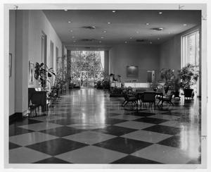 Primary view of object titled '[Checkered Floor at Dallas Garden Center 2]'.