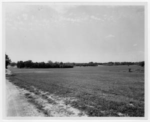 Primary view of object titled '[Field at Norbuck Park]'.