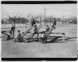 Photograph: [Children Playing on See-Saws]