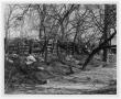 Photograph: [Moore Park Wooden Fence]