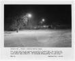 Primary view of [Light at Lindsley Park at Night]