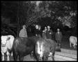 Primary view of [Eddie Rickenbacker at Scofield's with cattle]