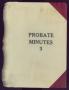 Book: Travis County Probate Records: Probate Minutes 3