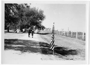 Primary view of object titled '[Dirt Path Lined with Flags]'.