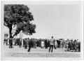 Photograph: [A Crowd with a Tree and Building Nearby]