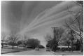 Thumbnail image of item number 1 in: '[Contrails Over a Neighborhood]'.