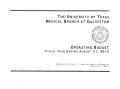 Thumbnail image of item number 3 in: 'University of Texas Medical Branch at Galveston Operating Budget: 2015'.