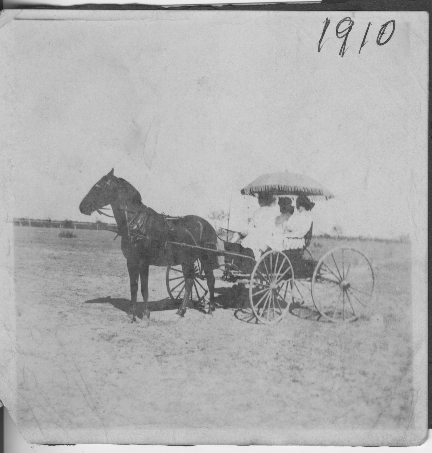 [Photograph of Women in Horse-Drawn Buggy]
                                                
                                                    [Sequence #]: 1 of 1
                                                