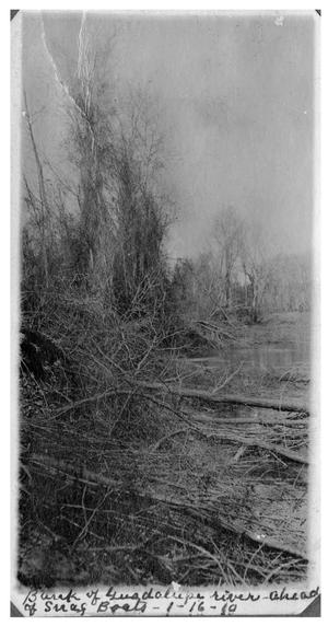Primary view of object titled 'Bank of the Guadalupe River ahead of snag boats'.