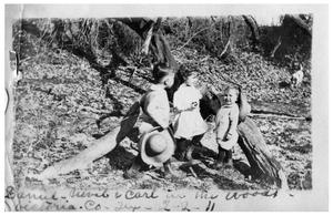 Primary view of object titled 'Daniel, Nevil, and Carl in the woods'.