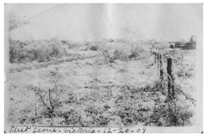 Primary view of object titled 'Sleet scene [in] Victoria'.