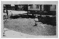 Primary view of [Child watering the lawn with a garden hose]