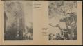 Thumbnail image of item number 3 in: 'The Tiger (San Antonio, Tex.), No. 3, Ed. 1 Tuesday, October 28, 1975'.
