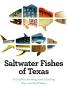 Pamphlet: Saltwater Fishes of Texas: A Guide to Knowing and Catching Bay and Gu…