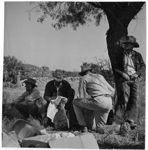 Primary view of object titled '[Cowboys under a Tree]'.