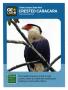 Primary view of [Trading Card: Crested Caracara]
