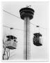 Photograph: Tower of the Americas