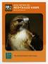Text: [Trading Card: Red-Tailed Hawk]