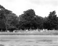 Primary view of [City Cemetery, (view West)]