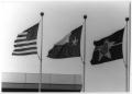 Photograph: [Three Flags at Love Field]