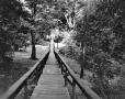 Photograph: [Rusk Footbridge]