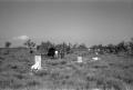 Photograph: [Indianola Cemetery]