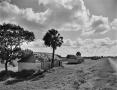 Photograph: [Bulay Plantation, (Overall complex, looking Northeast)]