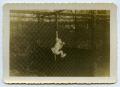 Photograph: [A Monkey Climbing Up Hist Cage]