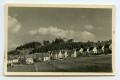 Photograph: [Photograph of Houses and Farm Land]
