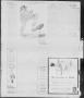 Thumbnail image of item number 4 in: 'Breckenridge Weekly Democrat (Breckenridge, Tex), No. 28, Ed. 1, Friday, February 17, 1928'.