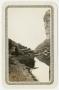 Primary view of [Photograph Looking Out from the Entrance of the Grand Canyon of St. Helena]