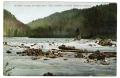 Postcard: [Postcard of Rapids at French Road Broad]