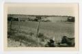 Primary view of [Farmland in Burnet, Texas]