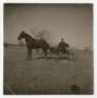 Photograph: [Man in a Horse-Drawn Cart]