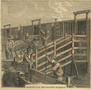 Artwork: [Print from Harper's Weekly, May 2, 1874. "The Texas Cattle Trade"]