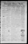 Primary view of Denison Daily News. (Denison, Tex.), Vol. 3, No. 98, Ed. 1 Thursday, June 17, 1875
